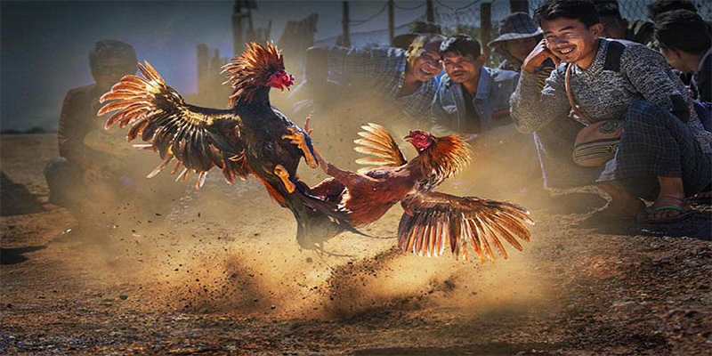 luck8 chơi bắn cá đổi thưởng