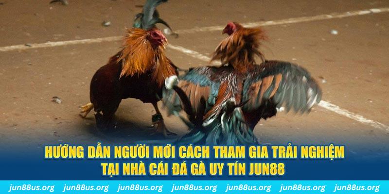 luck8 CQ9 Điện Tử