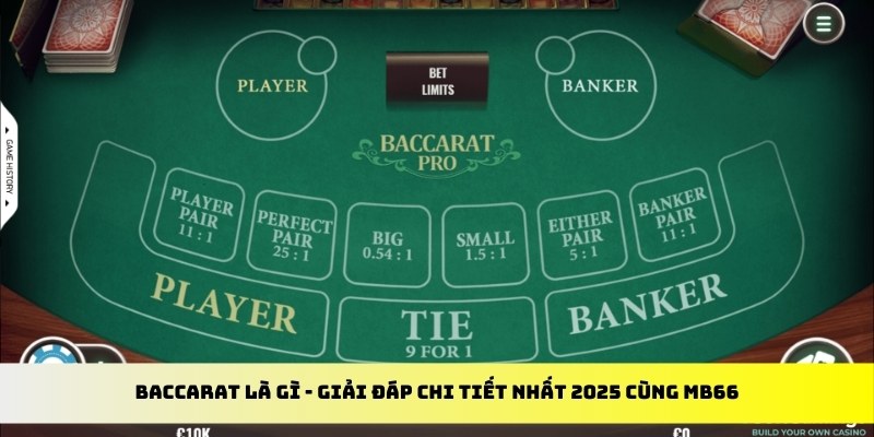 luck8 gà chọi cu cần