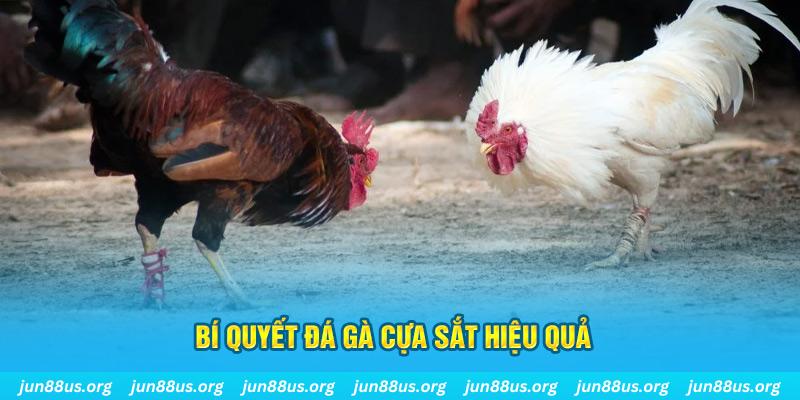 luck8 xin 1 slot là gì