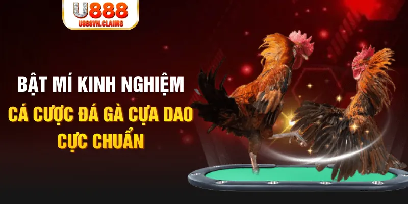 luck8 tỷ lệ cá cược châu á là gì