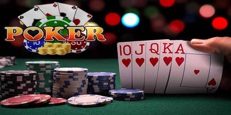 luck8 đá gà thomo trực tiếp