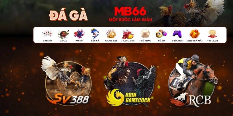luck8 đăng nhập poker số 1