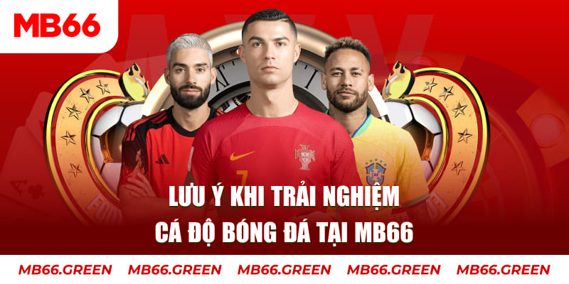 luck8 cá cược là gì