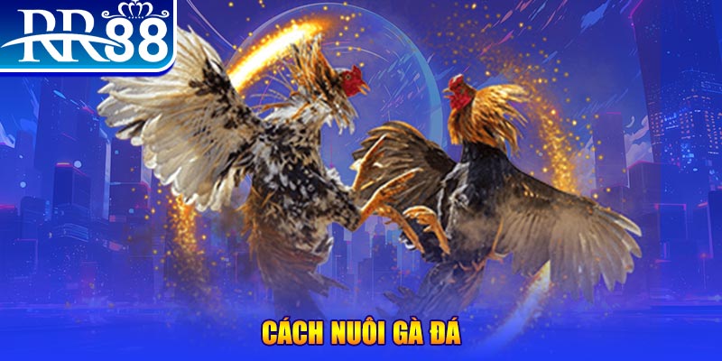 luck8 xổ số an giang