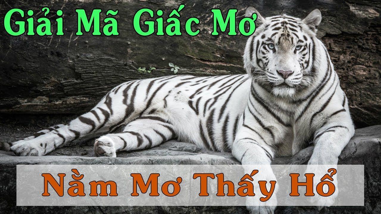 xổ số 3 miền