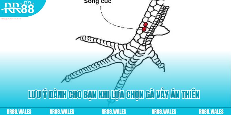 luck8 xổ số đồng nai