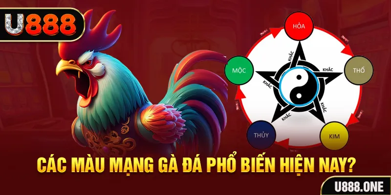 luck8 trực tiếp đá gà 88