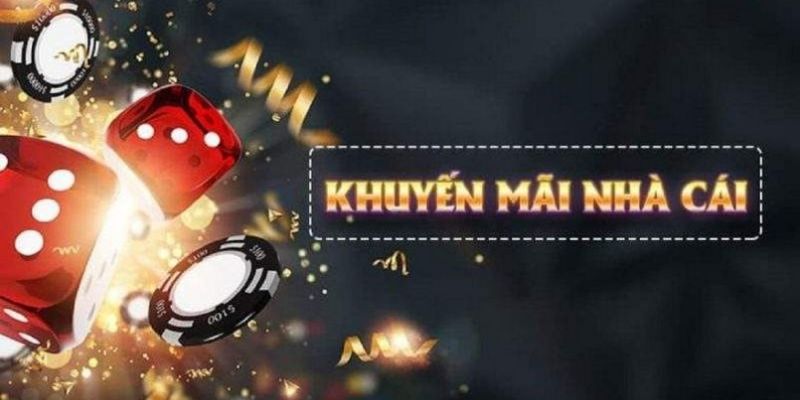 luck8 what is live dealer casino