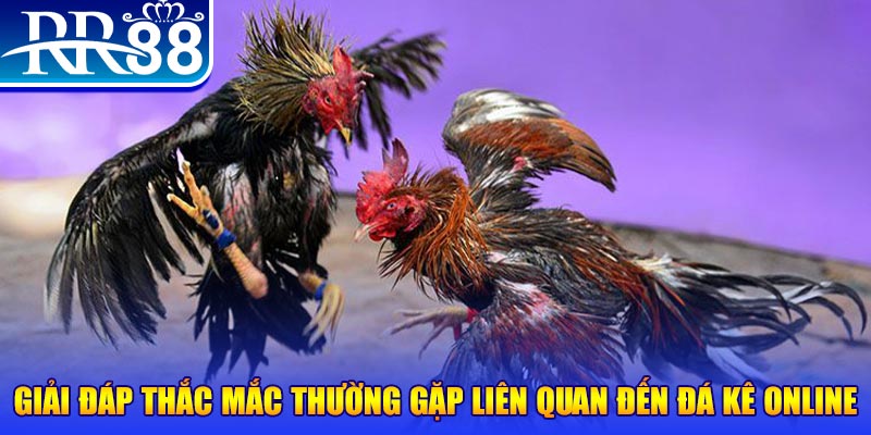 luck8 xổ số đà lạt