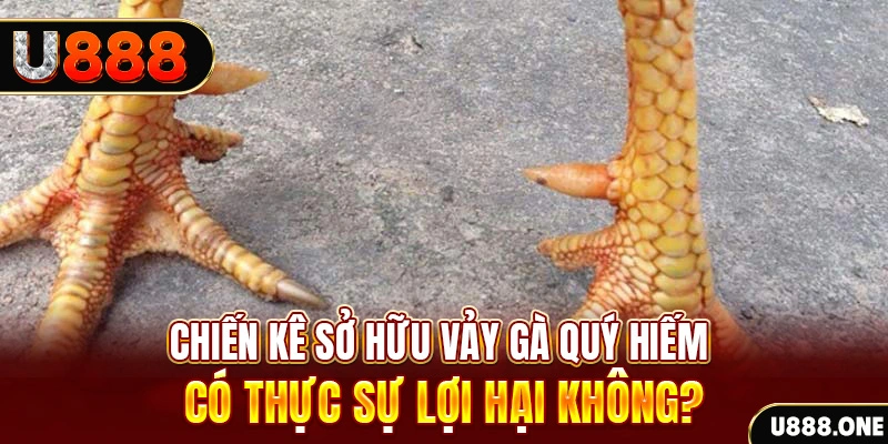 luck8 nohu .mx nổ hủ là gì