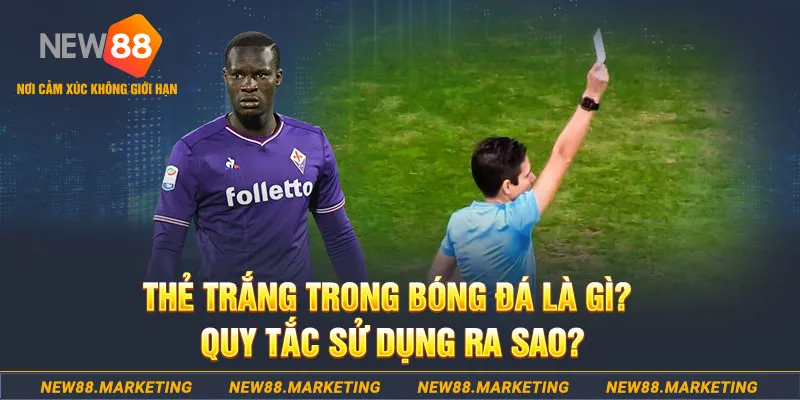 luck8 gà chọi mộc hóa