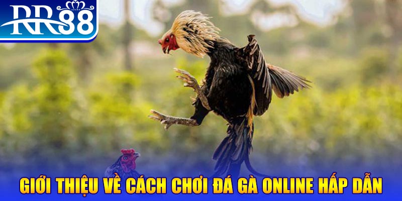 luck8 game nổ hũ rút tiền mặt là gì