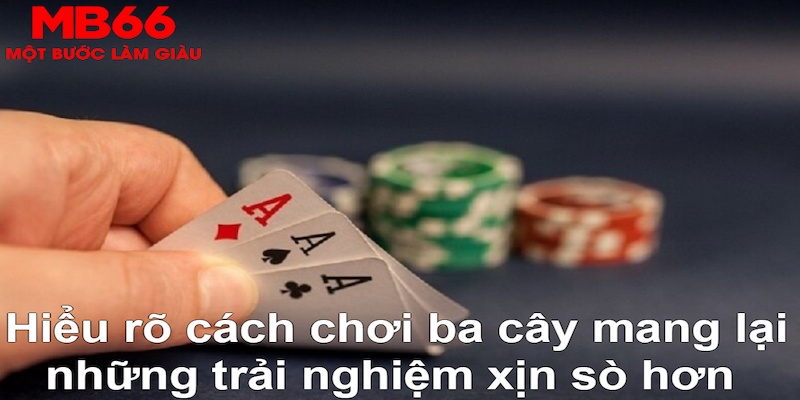luck8 xổ số đài bắc