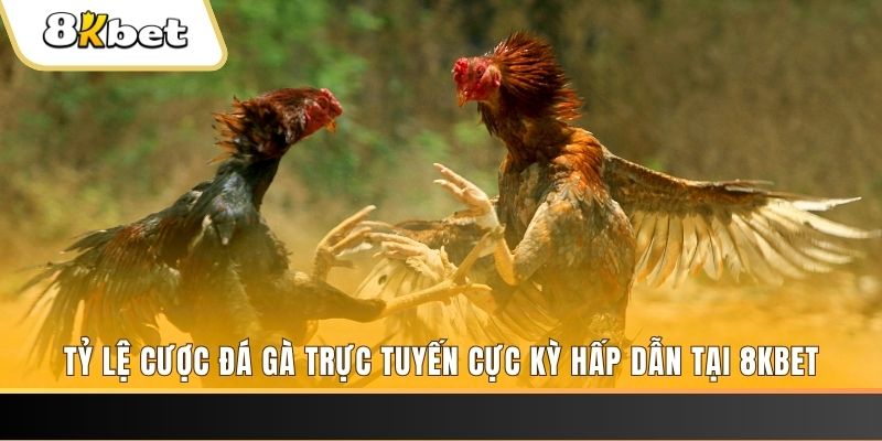 luck8 đăng nhập phỏm trực tiếp