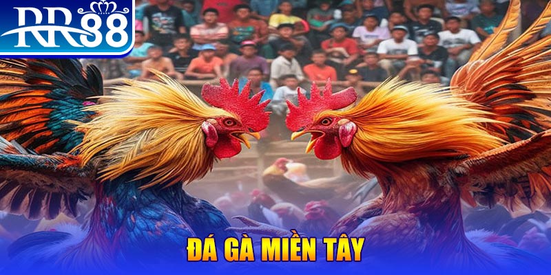 luck8 chơi slot là gì