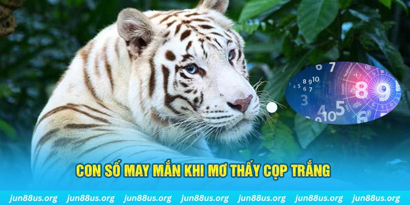 luck8 đá gà trực tiếp 88